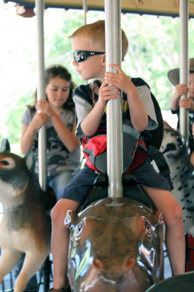 DEH on the Hogle Zoo Carousel.