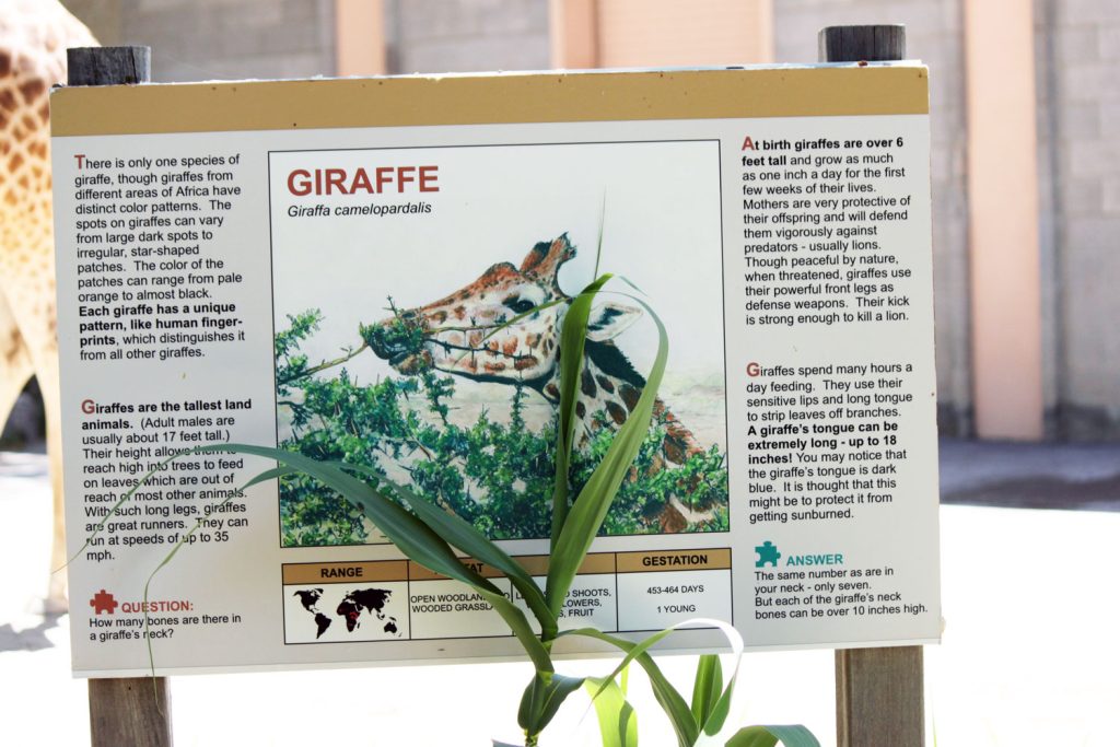 The giraffe sign at the Hogle Zoo in Salt Lake City, Utah.