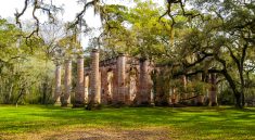 A beautiful image of the Old Sheldon Church columns.