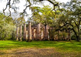 A beautiful image of the Old Sheldon Church columns.