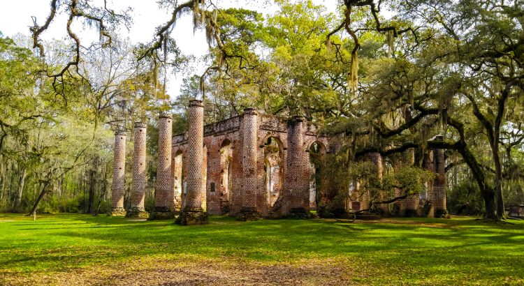 A beautiful image of the Old Sheldon Church columns.