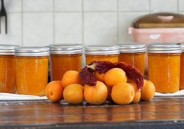 Apricot Chipotle Sauce Recipe from the novel Left Behind by Emmaline Hoffmeister