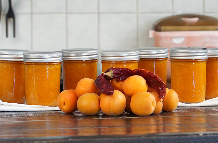 Apricot Chipotle Sauce Recipe from the novel Left Behind by Emmaline Hoffmeister