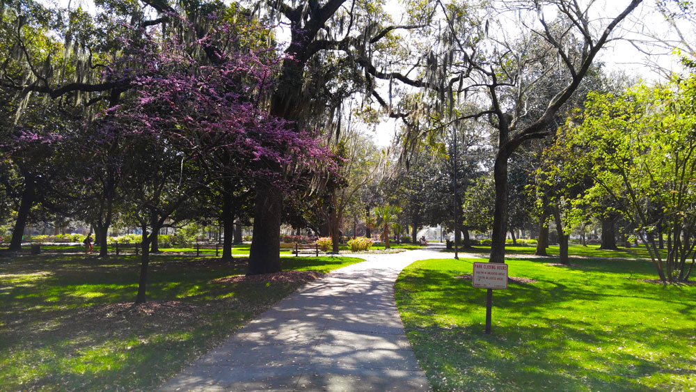 Forsyth Park walkway in spring in Savannah Georgia.