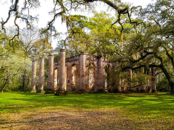 A beautiful image of the Old Sheldon Church columns.